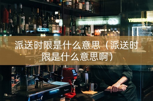 派送时限是什么意思（派送时限是什么意思啊）