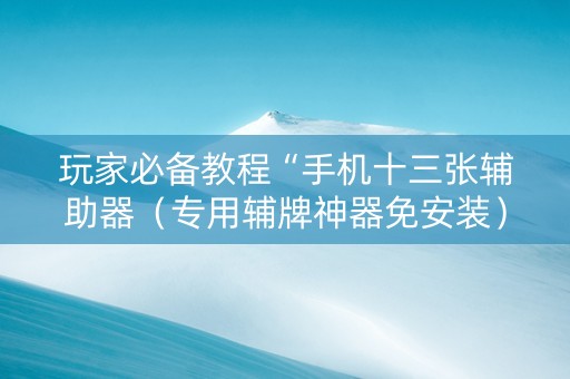 玩家必备教程“手机十三张辅助器（专用辅牌神器免安装）