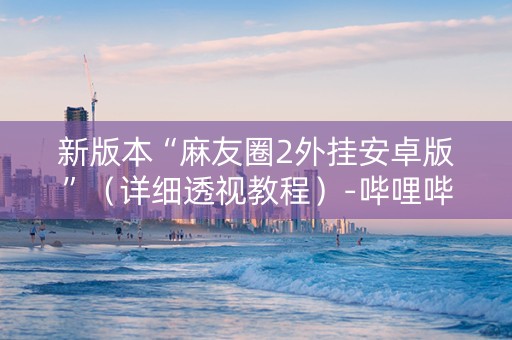 新版本“麻友圈2外挂安卓版”（详细透视教程）-哔哩哔哩