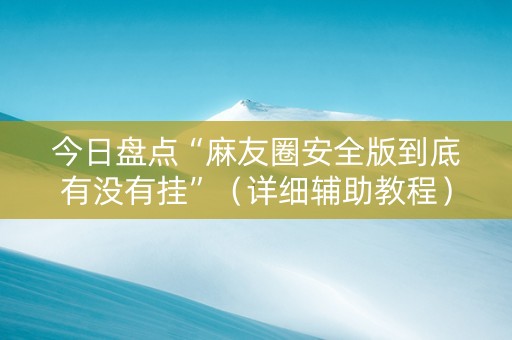 今日盘点“麻友圈安全版到底有没有挂”（详细辅助教程）-哔哩哔哩