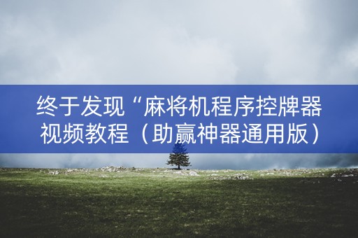 终于发现“麻将机程序控牌器视频教程（助赢神器通用版）