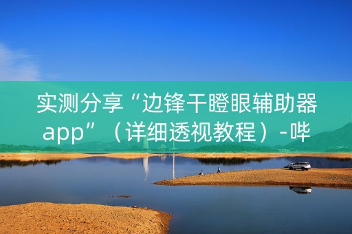 实测分享“边锋干瞪眼辅助器app”（详细透视教程）-哔哩哔哩