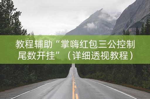 教程辅助“掌嗨红包三公控制尾数开挂”（详细透视教程）-哔哩哔哩