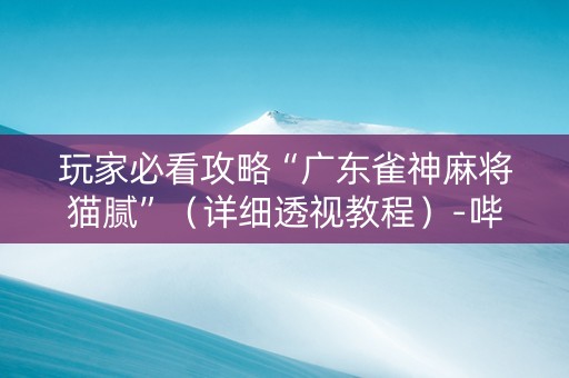 玩家必看攻略“广东雀神麻将猫腻”（详细透视教程）-哔哩哔哩