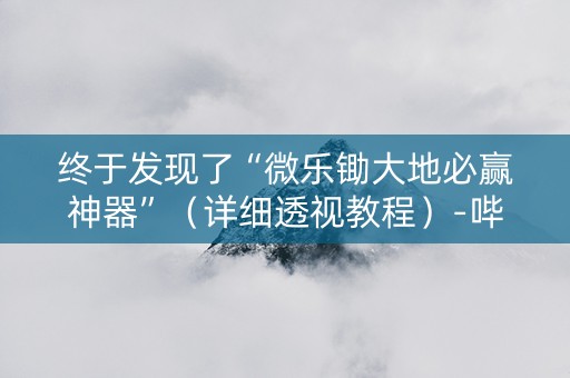 终于发现了“微乐锄大地必赢神器”（详细透视教程）-哔哩哔哩