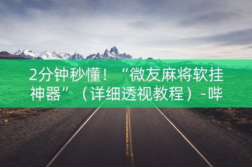 2分钟秒懂！“微友麻将软挂神器”（详细透视教程）-哔哩哔哩