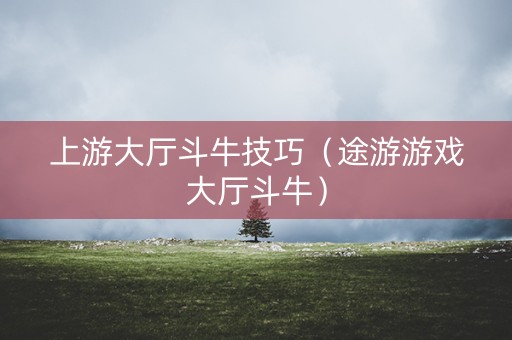 上游大厅斗牛技巧（途游游戏大厅斗牛）