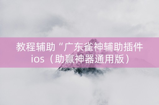 教程辅助“广东雀神辅助插件ios（助赢神器通用版）
