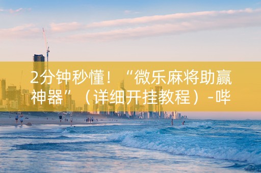 2分钟秒懂！“微乐麻将助赢神器”（详细开挂教程）-哔哩哔哩