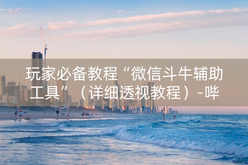 玩家必备教程“微信斗牛辅助工具”（详细透视教程）-哔哩哔哩