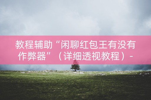 教程辅助“闲聊红包王有没有作弊器”（详细透视教程）-哔哩哔哩
