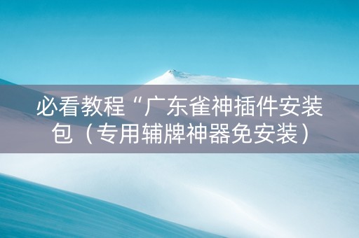 必看教程“广东雀神插件安装包（专用辅牌神器免安装）