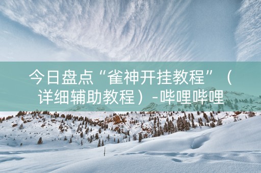 今日盘点“雀神开挂教程”（详细辅助教程）-哔哩哔哩