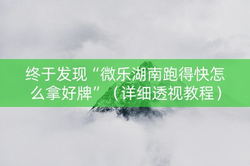 终于发现“微乐湖南跑得快怎么拿好牌”（详细透视教程）-哔哩哔哩