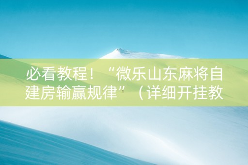 必看教程！“微乐山东麻将自建房输赢规律”（详细开挂教程）-哔哩哔哩