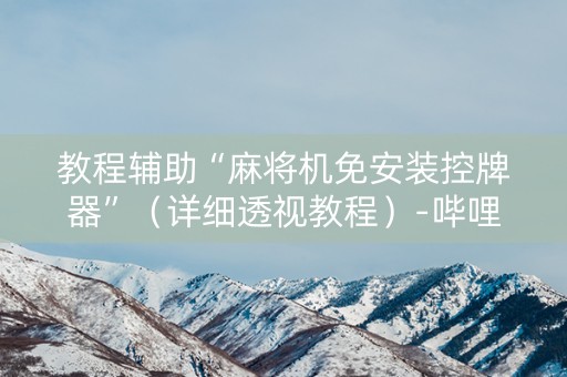 教程辅助“麻将机免安装控牌器”（详细透视教程）-哔哩哔哩