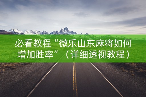 必看教程“微乐山东麻将如何增加胜率”（详细透视教程）-哔哩哔哩
