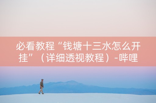 必看教程“钱塘十三水怎么开挂”（详细透视教程）-哔哩哔哩