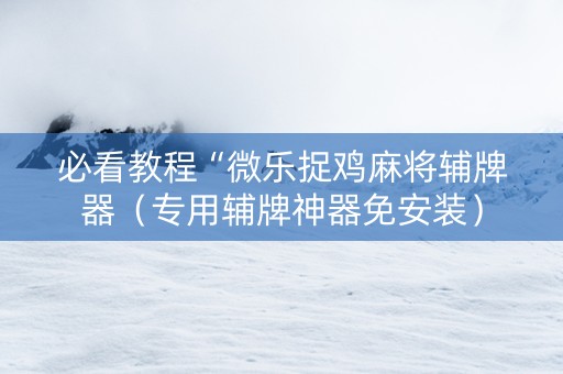 必看教程“微乐捉鸡麻将辅牌器（专用辅牌神器免安装）