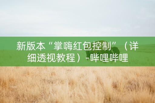 新版本“掌嗨红包控制”（详细透视教程）-哔哩哔哩