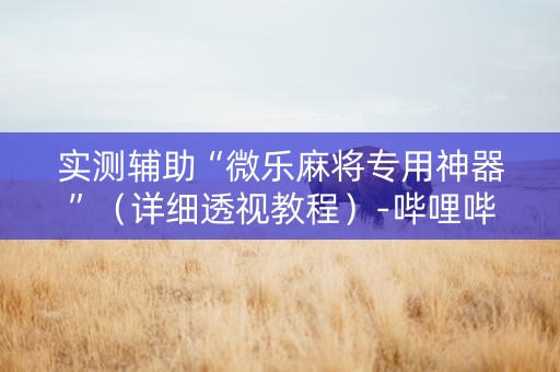 实测辅助“微乐麻将专用神器”（详细透视教程）-哔哩哔哩