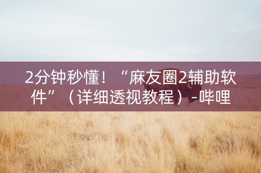 2分钟秒懂！“麻友圈2辅助软件”（详细透视教程）-哔哩哔哩