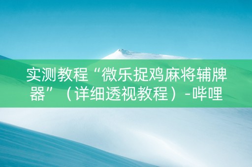 实测教程“微乐捉鸡麻将辅牌器”（详细透视教程）-哔哩哔哩