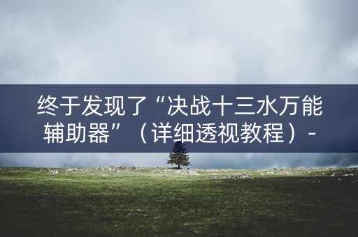 终于发现了“决战十三水万能辅助器”（详细透视教程）-哔哩哔哩