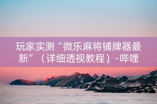 玩家实测“微乐麻将铺牌器最新”（详细透视教程）-哔哩哔哩
