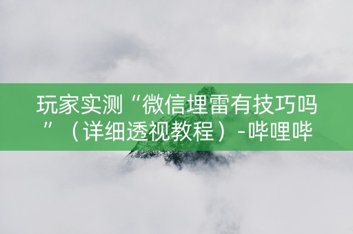 玩家实测“微信埋雷有技巧吗”（详细透视教程）-哔哩哔哩