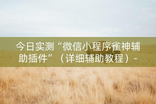 今日实测“微信小程序雀神辅助插件”（详细辅助教程）-哔哩哔哩