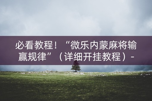 必看教程！“微乐内蒙麻将输赢规律”（详细开挂教程）-哔哩哔哩