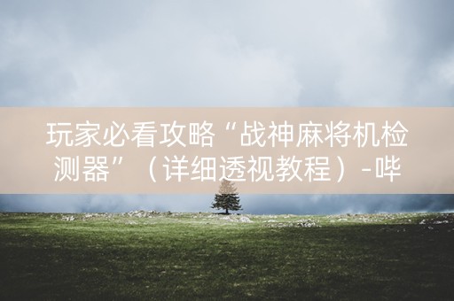 玩家必看攻略“战神麻将机检测器”（详细透视教程）-哔哩哔哩