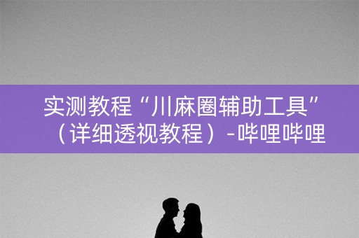 实测教程“川麻圈辅助工具”（详细透视教程）-哔哩哔哩