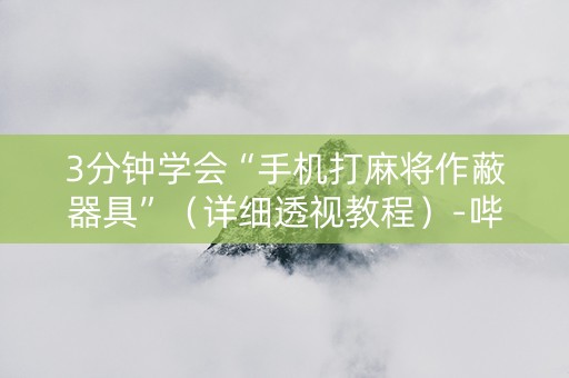 3分钟学会“手机打麻将作蔽器具”（详细透视教程）-哔哩哔哩