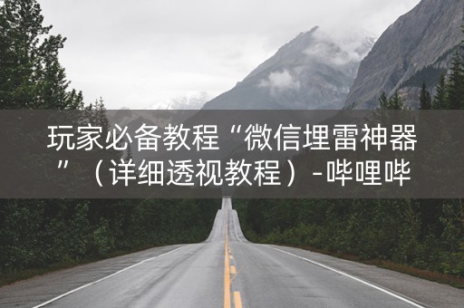玩家必备教程“微信埋雷神器”（详细透视教程）-哔哩哔哩