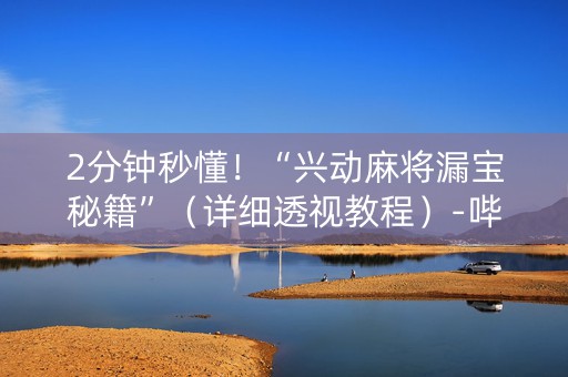 2分钟秒懂！“兴动麻将漏宝秘籍”（详细透视教程）-哔哩哔哩