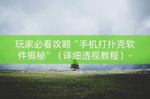 玩家必看攻略“手机打扑克软件揭秘”（详细透视教程）-哔哩哔哩