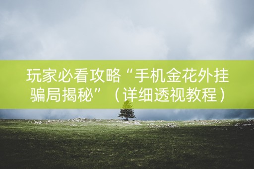 玩家必看攻略“手机金花外挂骗局揭秘”（详细透视教程）-哔哩哔哩