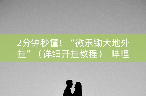 2分钟秒懂！“微乐锄大地外挂”（详细开挂教程）-哔哩哔哩