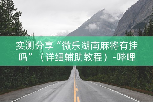 实测分享“微乐湖南麻将有挂吗”（详细辅助教程）-哔哩哔哩