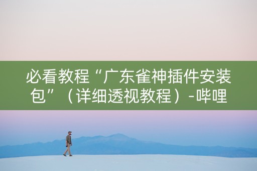 必看教程“广东雀神插件安装包”（详细透视教程）-哔哩哔哩