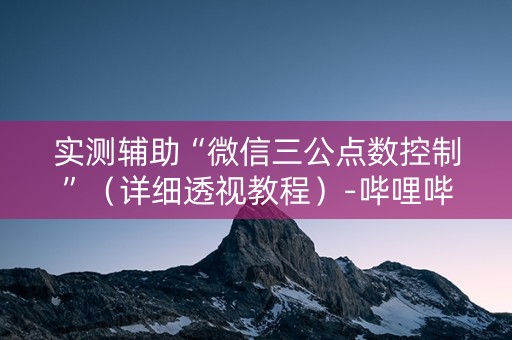 实测辅助“微信三公点数控制”（详细透视教程）-哔哩哔哩