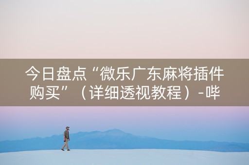 今日盘点“微乐广东麻将插件购买”（详细透视教程）-哔哩哔哩
