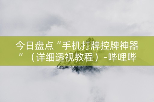 今日盘点“手机打牌控牌神器”（详细透视教程）-哔哩哔哩