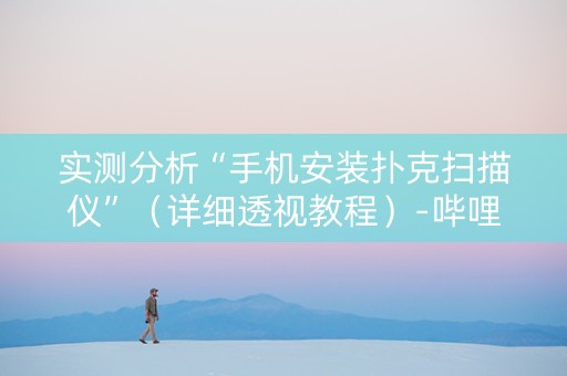 实测分析“手机安装扑克扫描仪”（详细透视教程）-哔哩哔哩