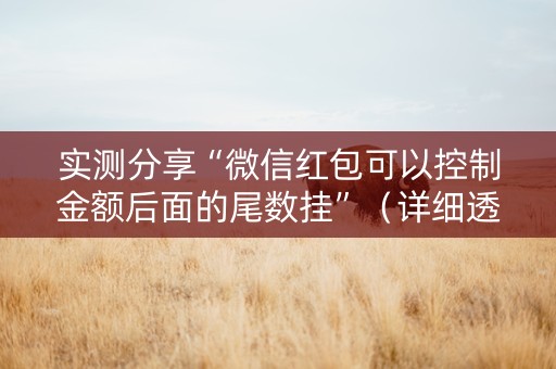 实测分享“微信红包可以控制金额后面的尾数挂”（详细透视教程）-哔哩哔哩