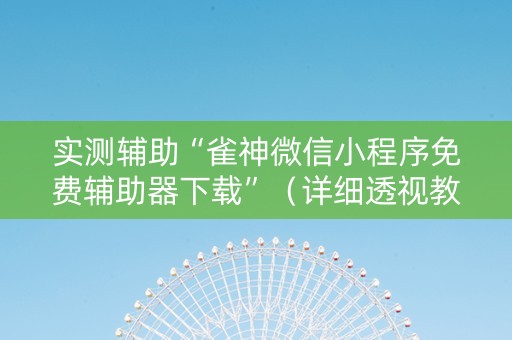 实测辅助“雀神微信小程序免费辅助器下载”（详细透视教程）-哔哩哔哩