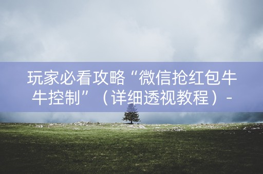 玩家必看攻略“微信抢红包牛牛控制”（详细透视教程）-哔哩哔哩