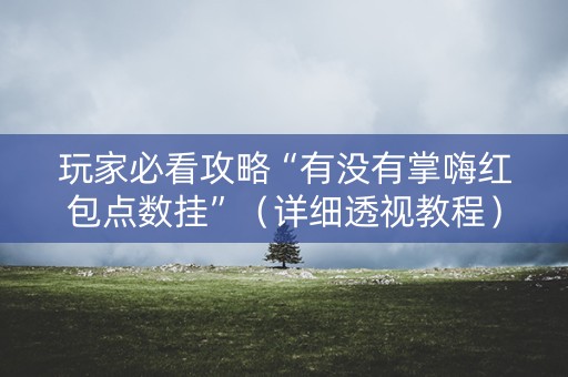玩家必看攻略“有没有掌嗨红包点数挂”（详细透视教程）-哔哩哔哩